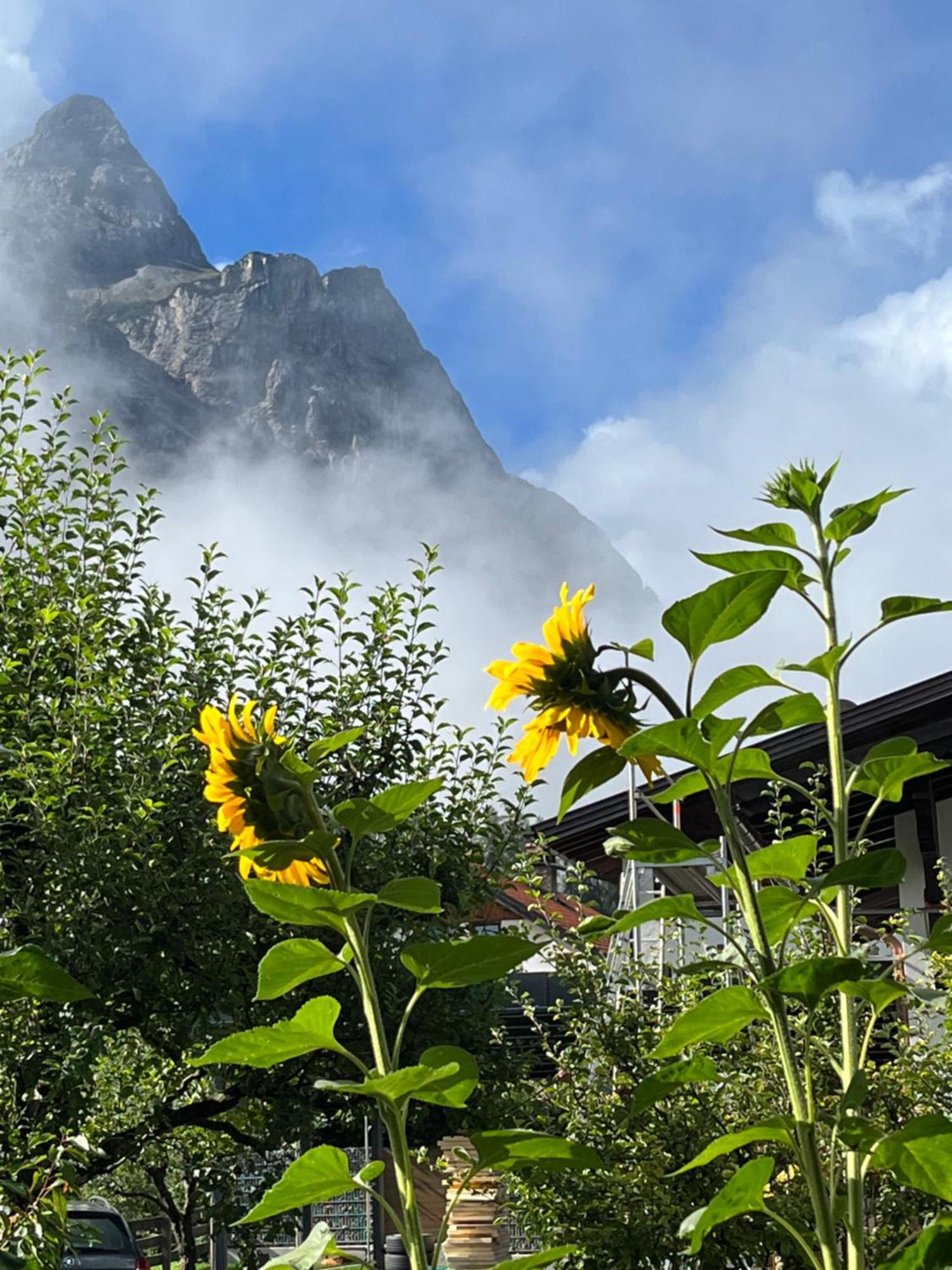 Haus Alpenblume Apartment แอห์วัลด์ ภายนอก รูปภาพ